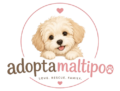 Adopta Maltipo
